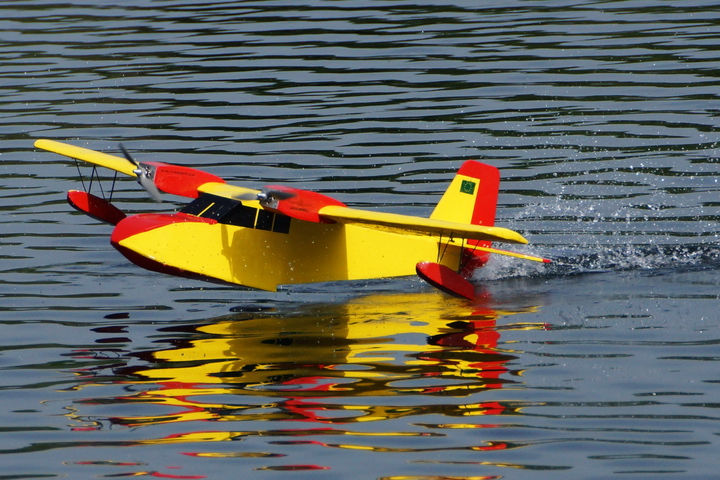 Viehofner See, 14. Juni 2015 - Foto 46 - klick = zurck zum Index